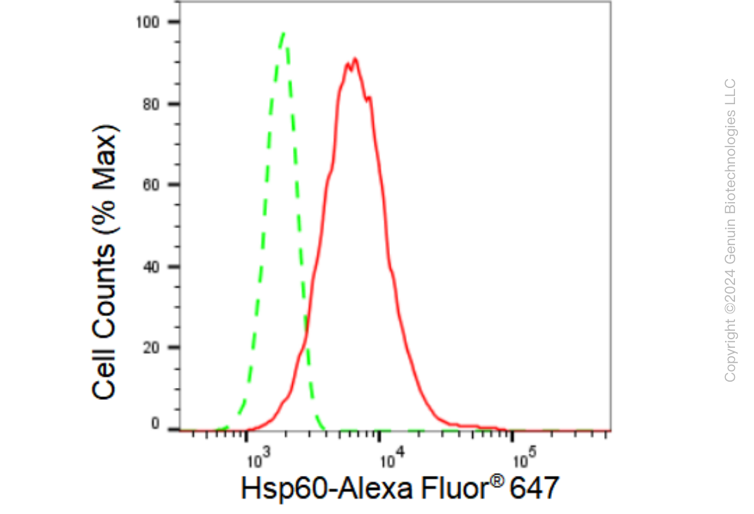 KD-Validated Anti-Hsp60 Rabbit Monoclonal Antibody ABG1245