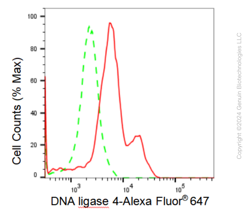 KD-Validated Anti-DNA ligase 4 Rabbit Monoclonal Antibody ABG1246