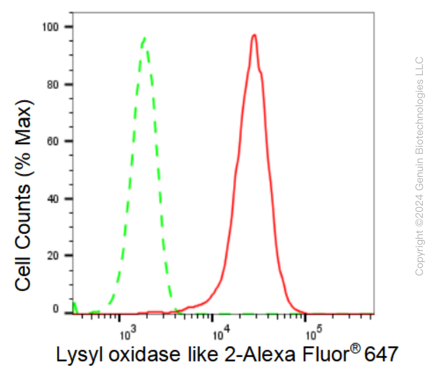 KD-Validated Anti-Lysyl oxidase like 2 Rabbit Monoclonal Antibody ABG1249