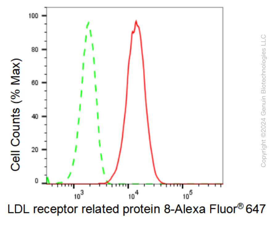 KD-Validated Anti-LDL receptor related protein 8 Rabbit Monoclonal Antibody ABG1250