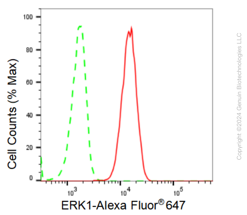 KD-Validated Anti-ERK1 Rabbit Monoclonal Antibody ABG1251