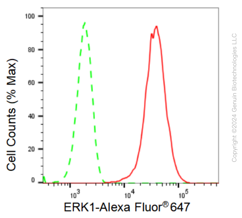 KD-Validated Anti-ERK1 Rabbit Monoclonal Antibody ABG1252