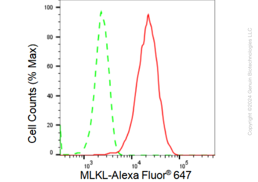 KD-Validated Anti-MLKL Rabbit Monoclonal Antibody ABG1258