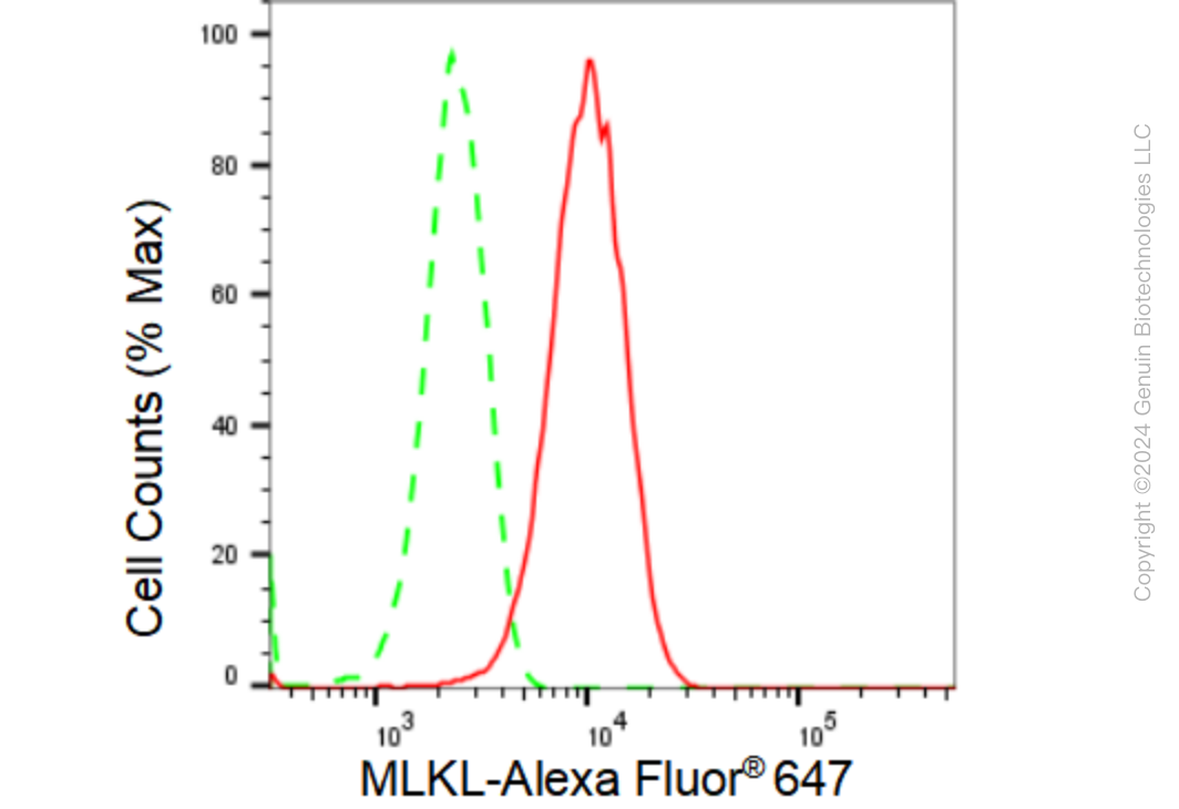 KD-Validated Anti-MLKL Rabbit Monoclonal Antibody ABG1259