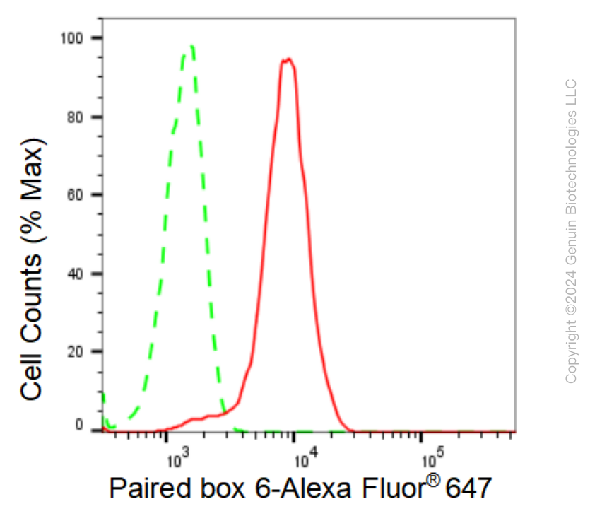 KD-Validated Anti-Paired box 6 Rabbit Monoclonal Antibody ABG1263