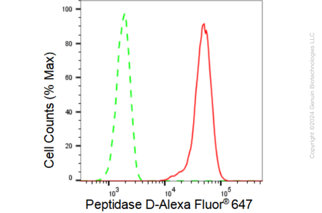 KD-Validated Anti-Peptidase D Rabbit Monoclonal Antibody ABG1264