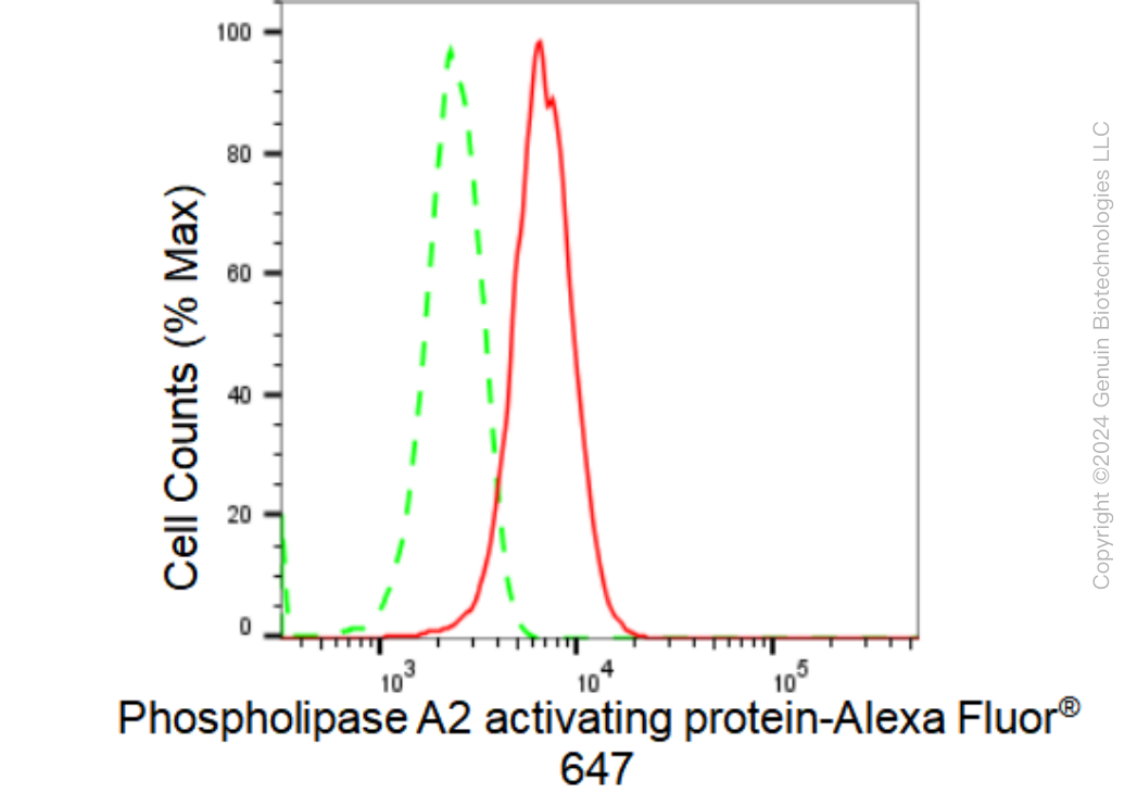 KD-Validated Anti-Phospholipase A2 activating protein Rabbit Monoclonal Antibody ABG1267