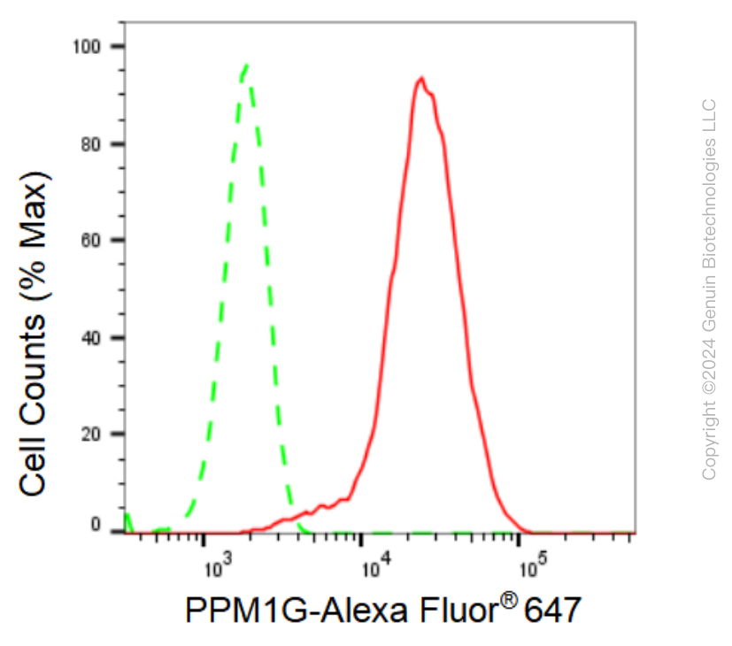 KD-Validated Anti-PPM1G Rabbit Monoclonal Antibody ABG1268