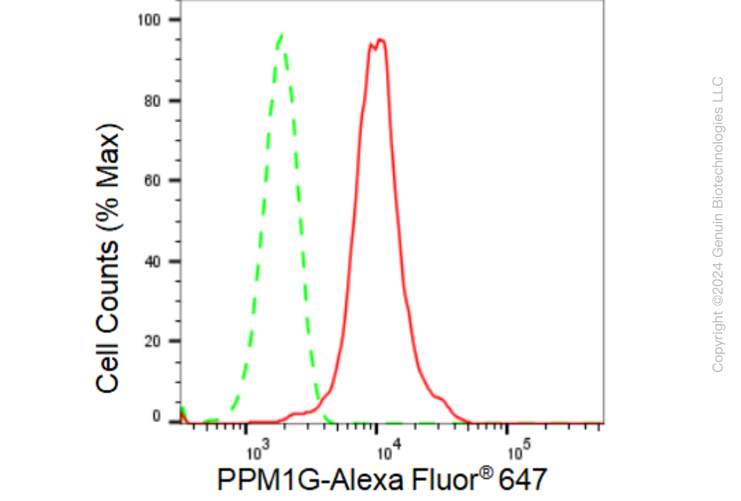 KD-Validated Anti-PPM1G Rabbit Monoclonal Antibody ABG1269