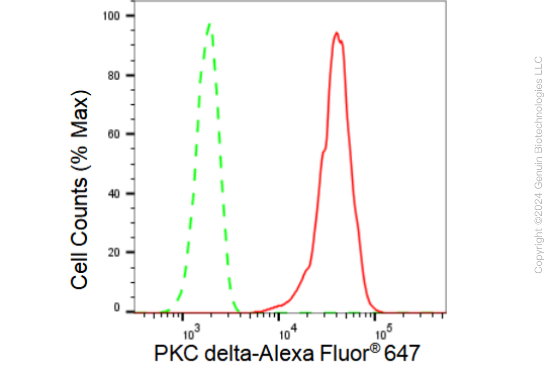 KD-Validated Anti-PKC delta Rabbit Monoclonal Antibody ABG1272