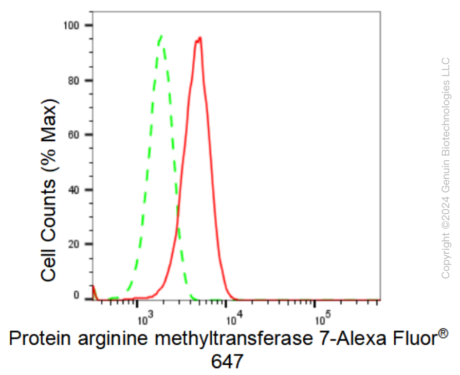 KD-Validated Anti-Protein arginine methyltransferase 7 Rabbit Monoclonal Antibody ABG1273
