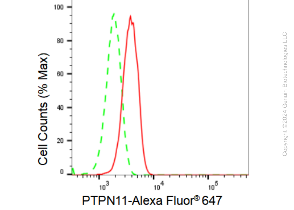 KD-Validated Anti-PTPN11 Rabbit Monoclonal Antibody ABG1274
