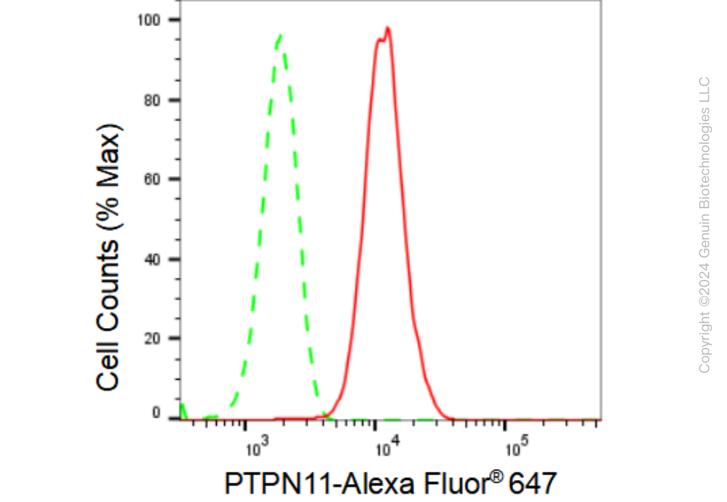 KD-Validated Anti-PTPN11 Rabbit Monoclonal Antibody ABG1275