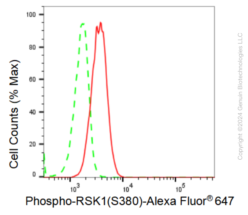 KD-Validated Anti-Phospho-RSK1(S380) Rabbit Monoclonal Antibody ABG1281