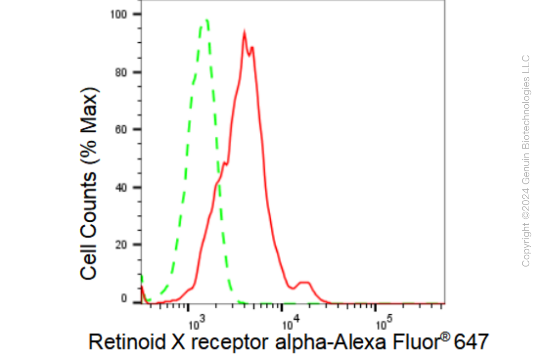 KD-Validated Anti-Retinoid X receptor alpha Rabbit Monoclonal Antibody ABG1282