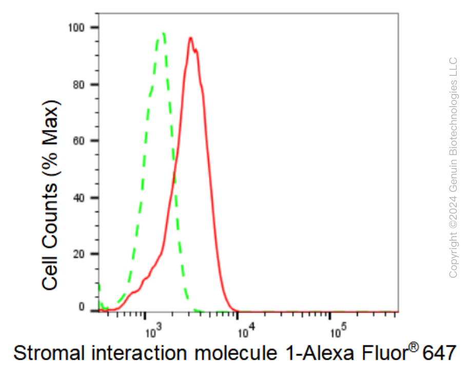 KD-Validated Anti-Stromal interaction molecule 1 Rabbit Monoclonal Antibody ABG1285