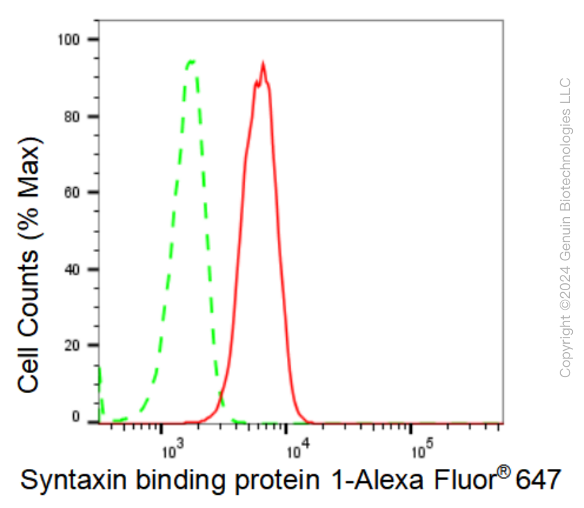 KD-Validated Anti-Syntaxin binding protein 1 Rabbit Monoclonal Antibody ABG1286