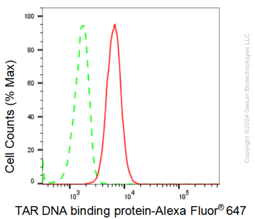 KD-Validated Anti-TAR DNA binding protein Rabbit Monoclonal Antibody ABG1287