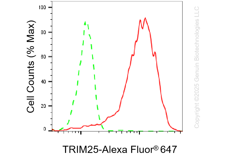 KD-Validated Anti-Tripartite Motif Containing 25 Rabbit Monoclonal Antibody ABG1294