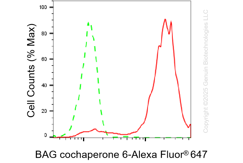 KD-Validated Anti-BAG Cochaperone 6 Rabbit Monoclonal Antibody ABG1295