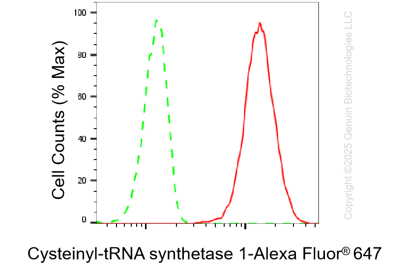 KD-Validated Anti-Cysteinyl-TRNA Synthetase 1 Rabbit Monoclonal Antibody ABG1297