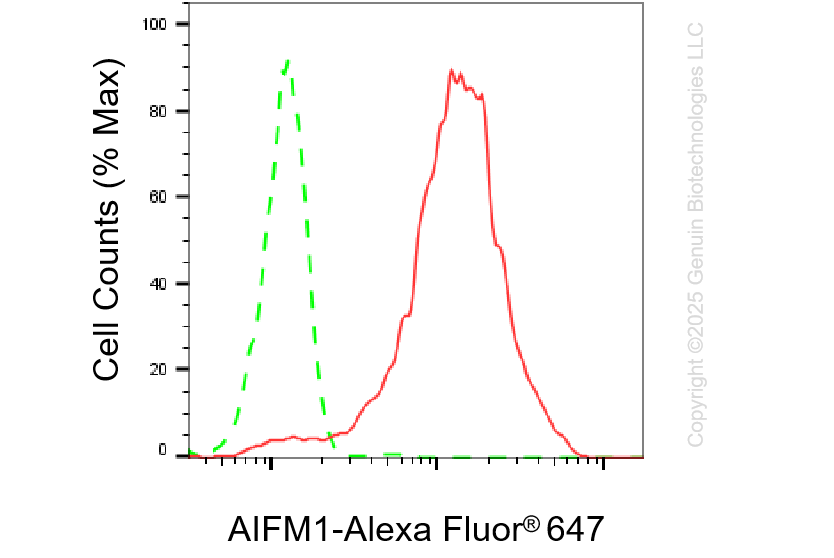 KD-Validated Anti-AIFM1 Rabbit Monoclonal Antibody ABG1299