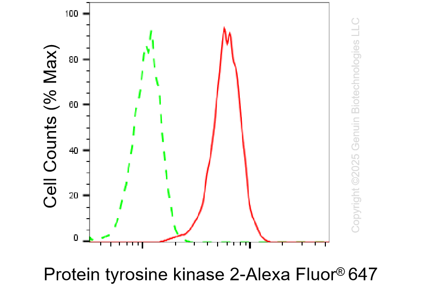 KD-Validated Anti-Protein Tyrosine Kinase 2 Rabbit Monoclonal Antibody ABG1302