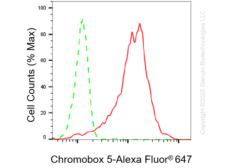 KD-Validated Anti-Chromobox Rabbit Monoclonal Antibody ABG1303