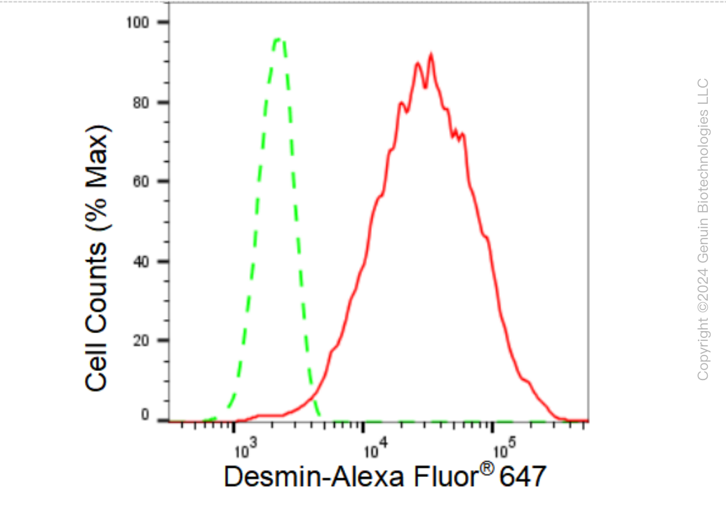 KD-Validated Anti-Desmin Rabbit Monoclonal Antibody ABG1308