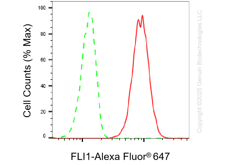 KD-Validated Anti-FLI1 Rabbit Monoclonal Antibody ABG1309
