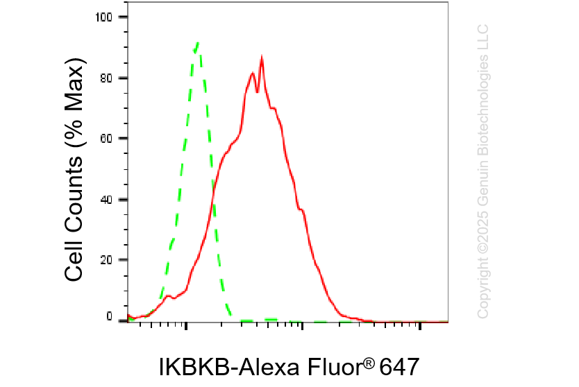 KD-Validated Anti-IKBKB Rabbit Monoclonal Antibody ABG1311