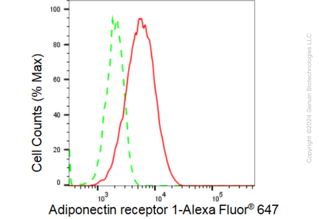 KD-Validated Anti-Adiponectin receptor 1 Rabbit Monoclonal Antibody ABG1312