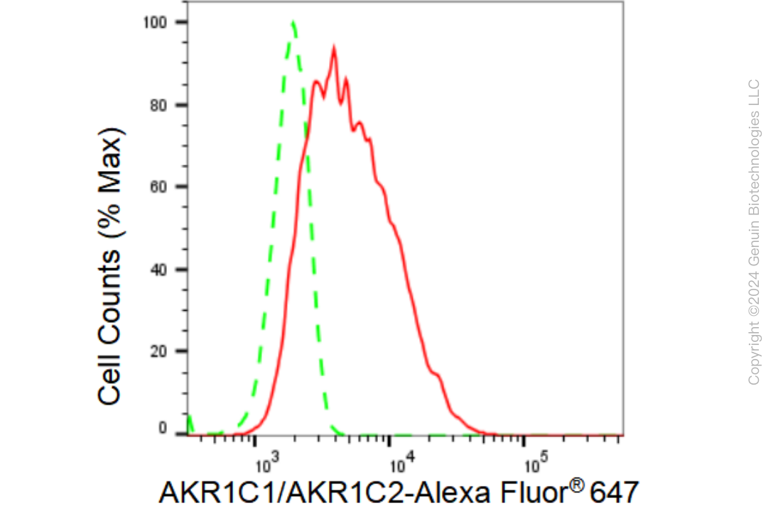 KD-Validated Anti-AKR1C1/AKR1C2 Rabbit Monoclonal Antibody ABG1313