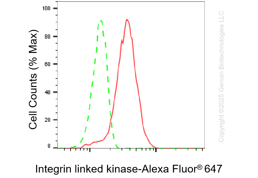KD-Validated Anti-Integrin Linked Kinase Rabbit Monoclonal Antibody ABG1314