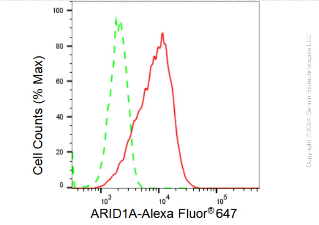 KD-Validated Anti-ARID1A Rabbit Monoclonal Antibody ABG1318