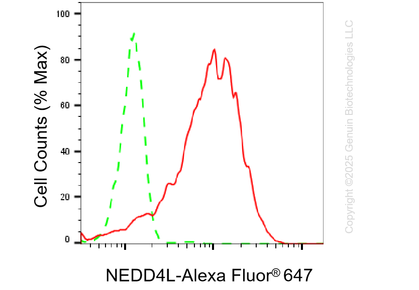 KD-Validated Anti-NEDD4L Rabbit Monoclonal Antibody ABG1319