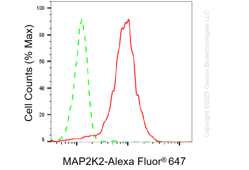 KD-Validated Anti-MAP2K2 Rabbit Monoclonal Antibody ABG1324