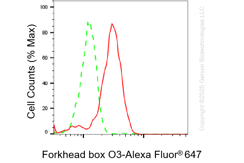KD-Validated Anti-Forkhead Box O3 Rabbit Monoclonal Antibody ABG1325
