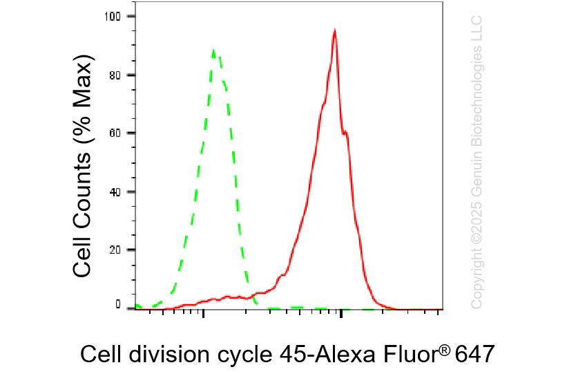 KD-Validated Anti-Cell Division Cycle 45 Rabbit Monoclonal Antibody ABG1327