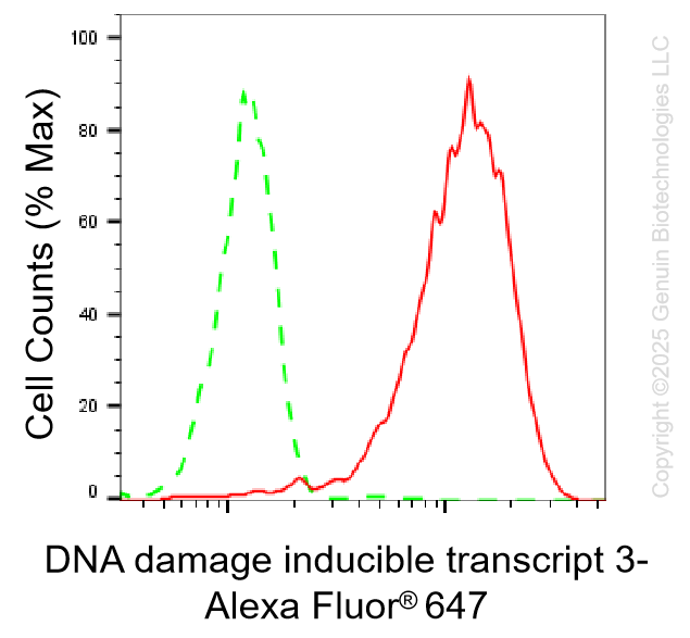 KD-Validated Anti-DNA Damage Inducible Transcript 3 Rabbit Monoclonal Antibody ABG1328