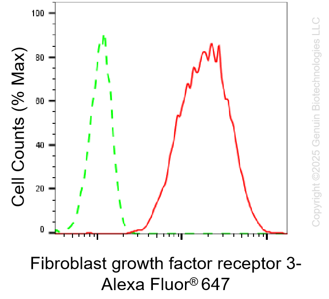 KD-Validated Anti-Fibroblast Growth Factor Receptor 3 Rabbit Monoclonal Antibody ABG1329