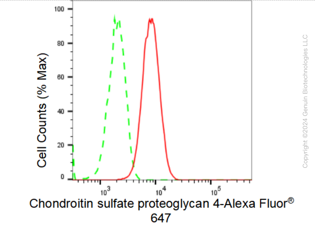 KD-Validated Anti-Chondroitin sulfate proteoglycan 4 Rabbit Monoclonal Antibody ABG1333
