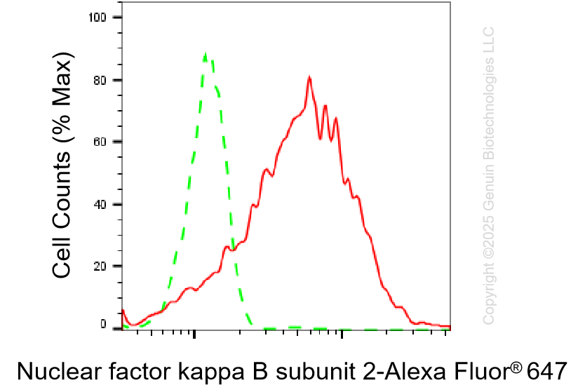 KD-Validated Anti-Nuclear Factor Kappa B Subunit 2 Rabbit Monoclonal Antibody ABG1336