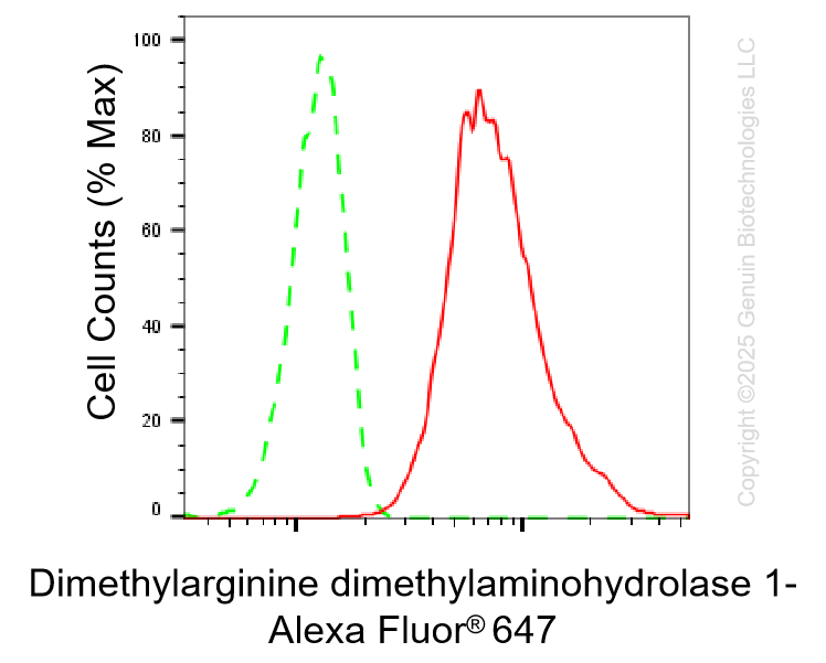 KD-Validated Anti-DDAH1 Rabbit Monoclonal Antibody ABG1337