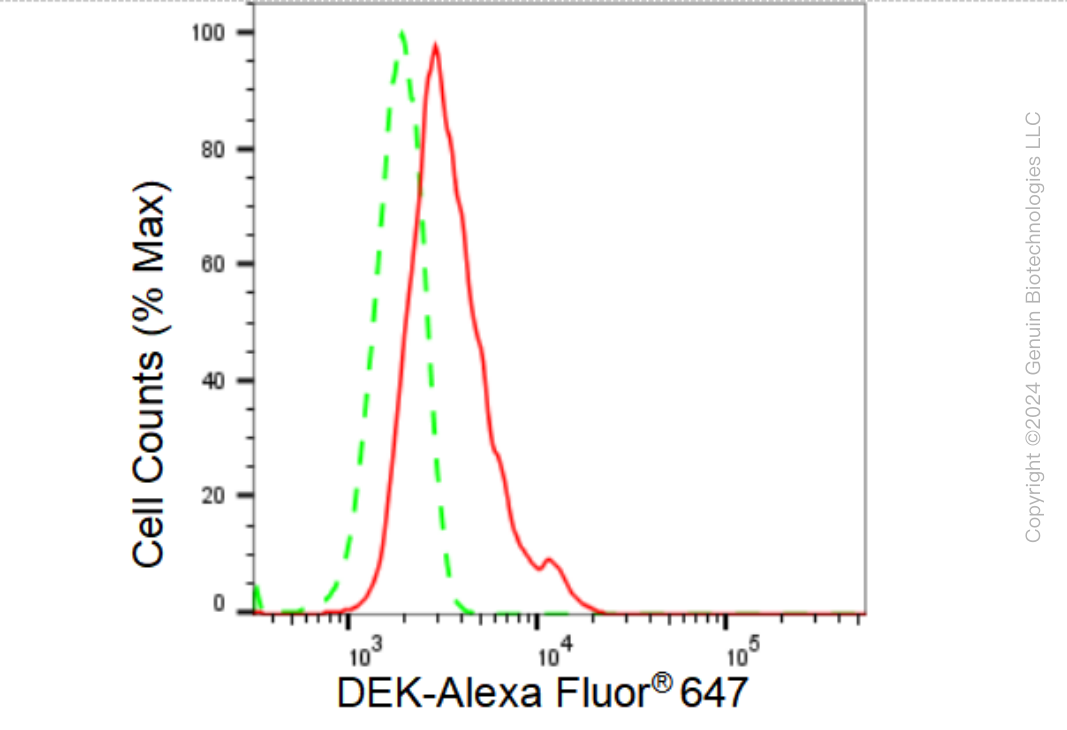 KD-Validated Anti-DEK Rabbit Monoclonal Antibody ABG1338