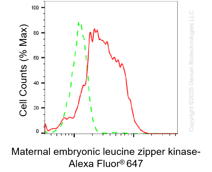 KD-Validated Anti-MELK Rabbit Monoclonal Antibody ABG1341