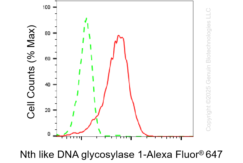 KD-Validated Anti-Nth Like DNA Glycosylase 1 Rabbit Monoclonal Antibody ABG1344
