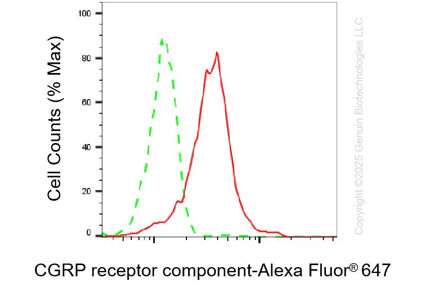 KD-Validated Anti-CGRP Receptor Component Rabbit Monoclonal Antibody ABG1345