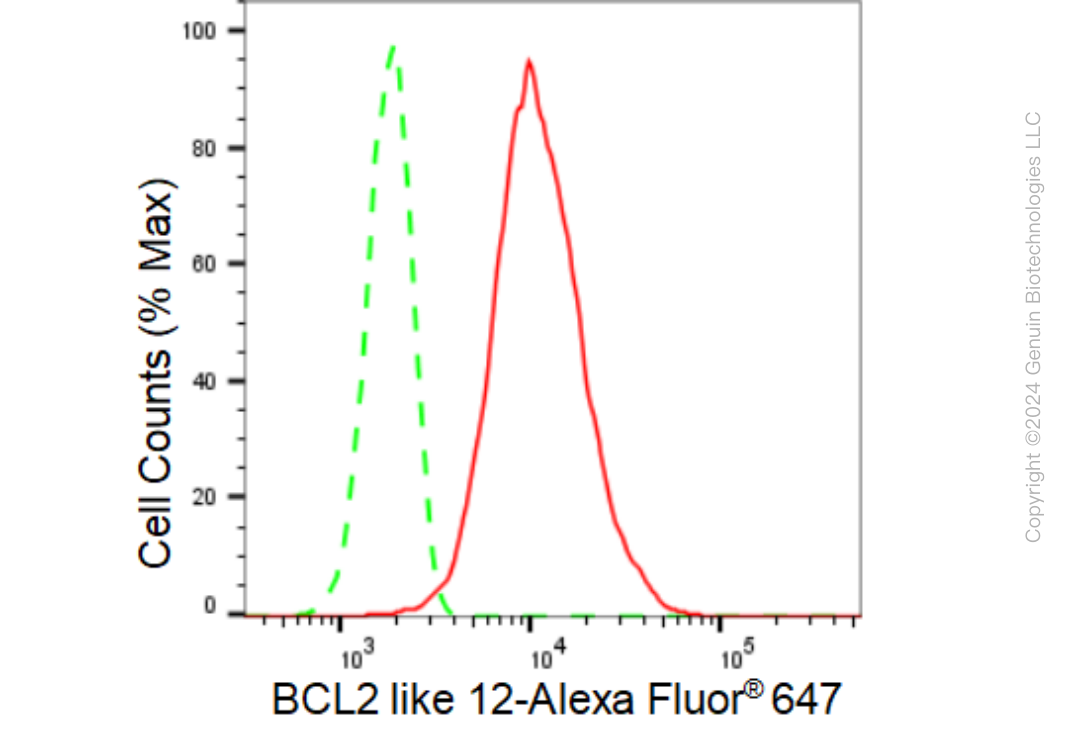 KD-Validated Anti-BCL2 like 12 Rabbit Monoclonal Antibody ABG1347