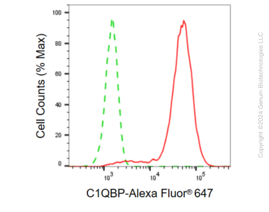 KD-Validated Anti-C1QBP Rabbit Monoclonal Antibody ABG1349